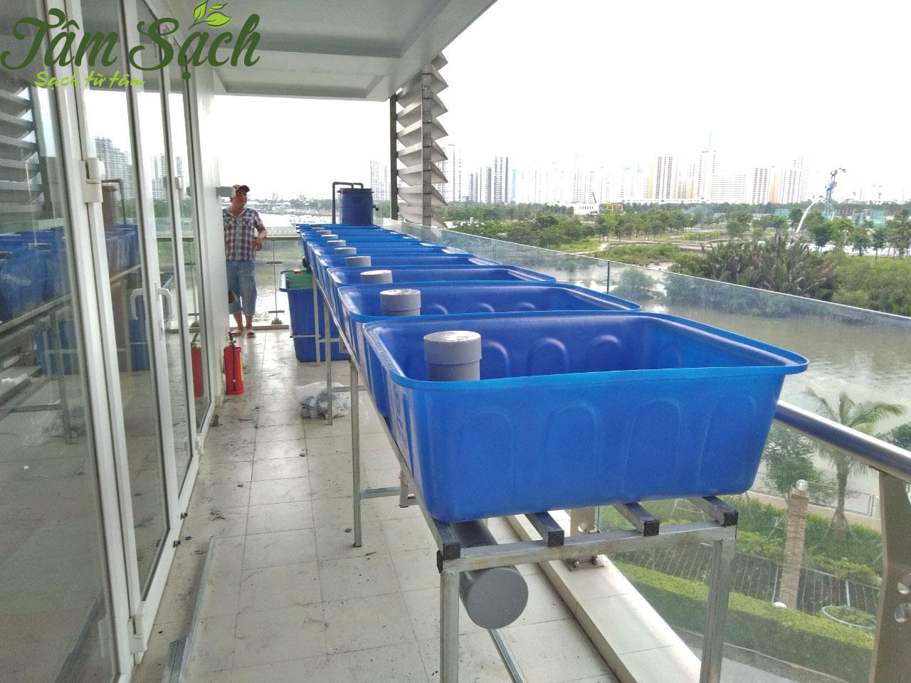 Mô hình trồng rau aquaponics
