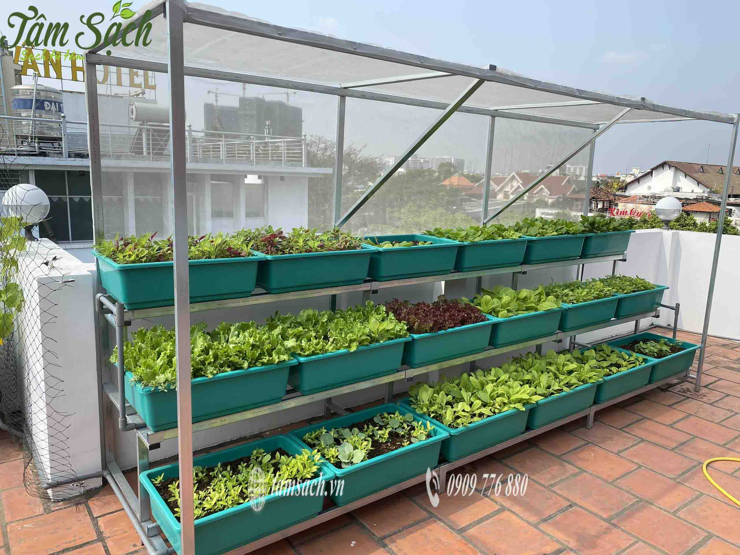 Mô hình trồng rau sạch tại nhà