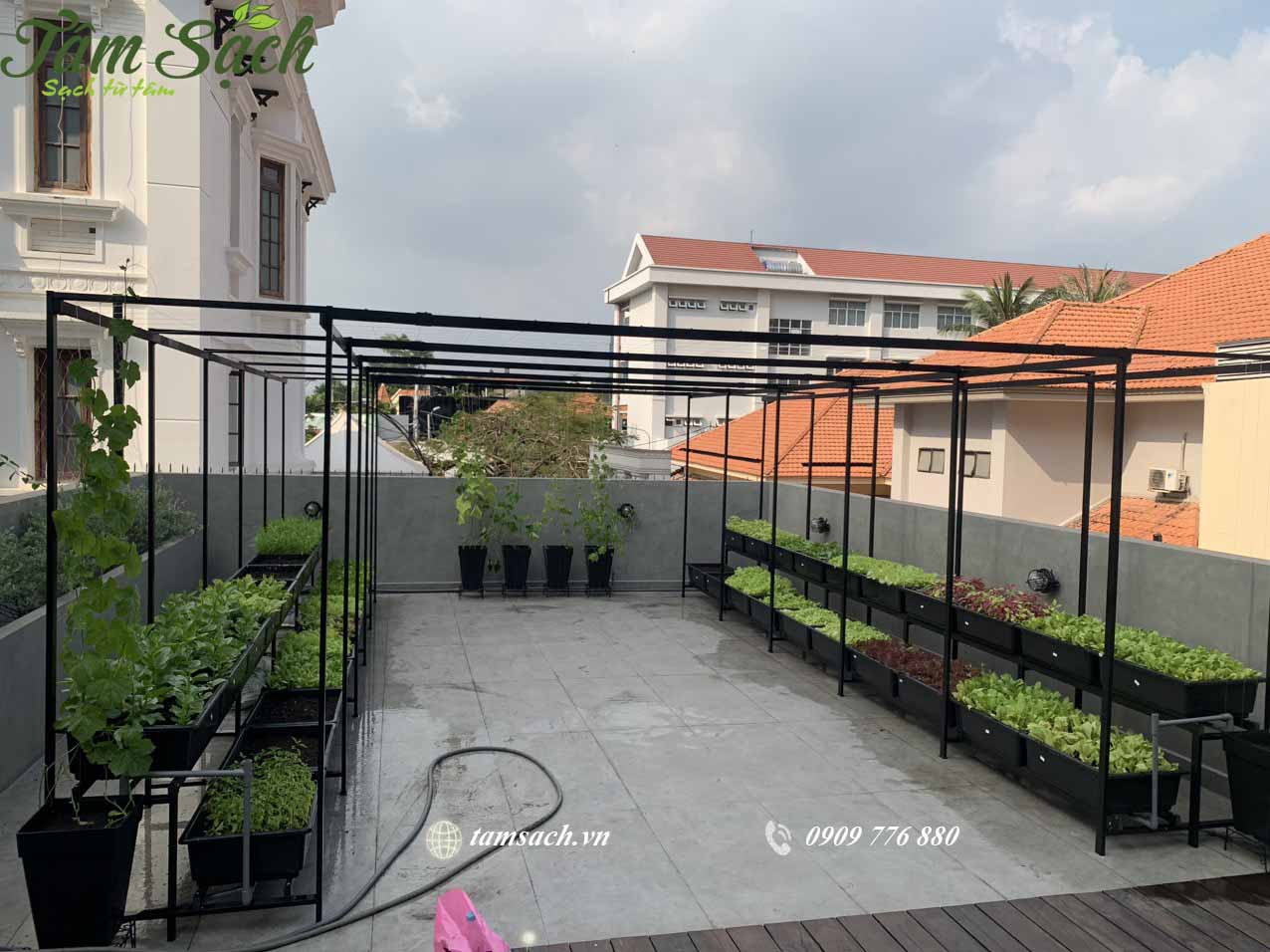 Mô hình trồng rau sạch tại nhà