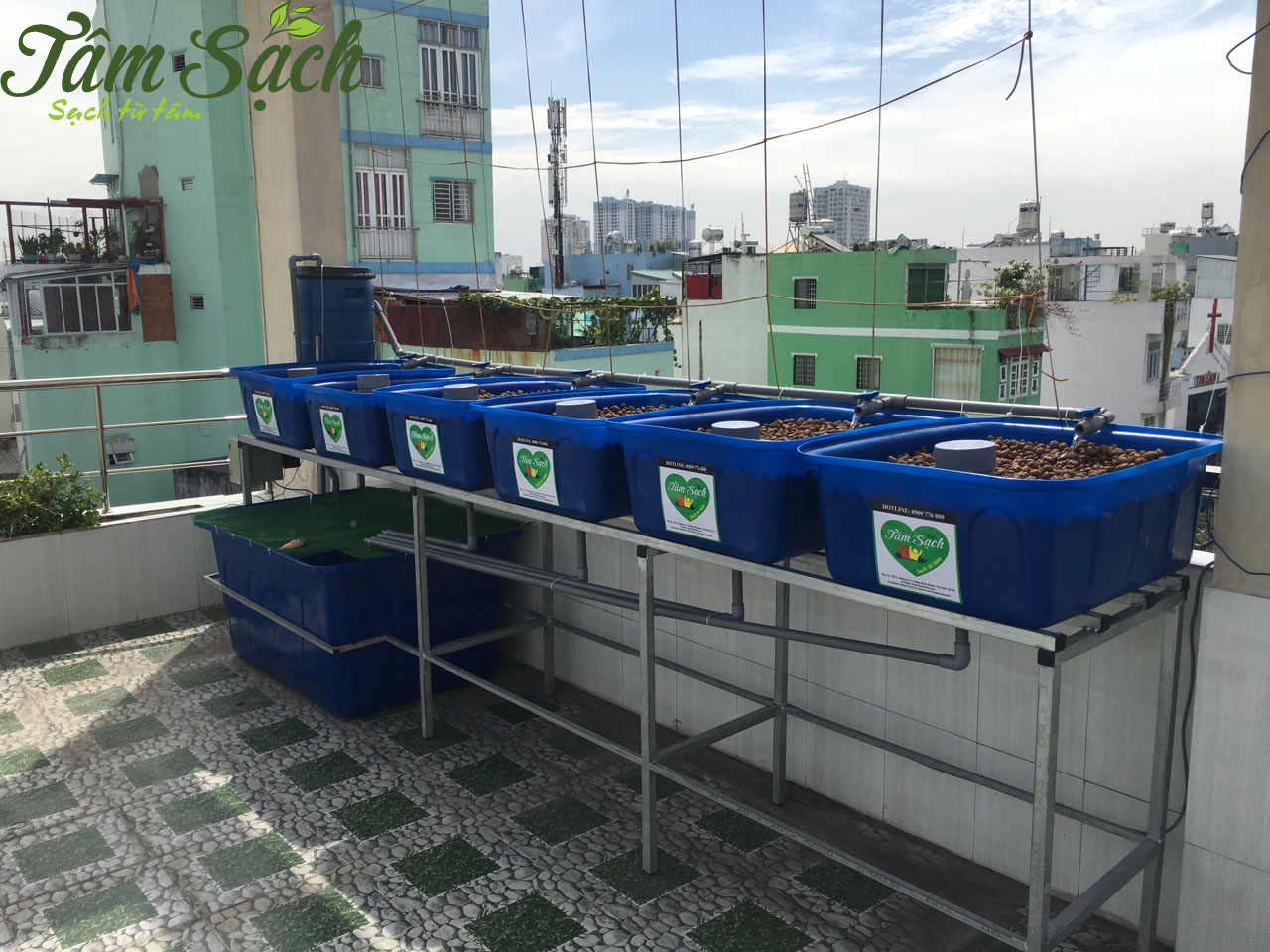 Mô hình trồng rau sân thượng