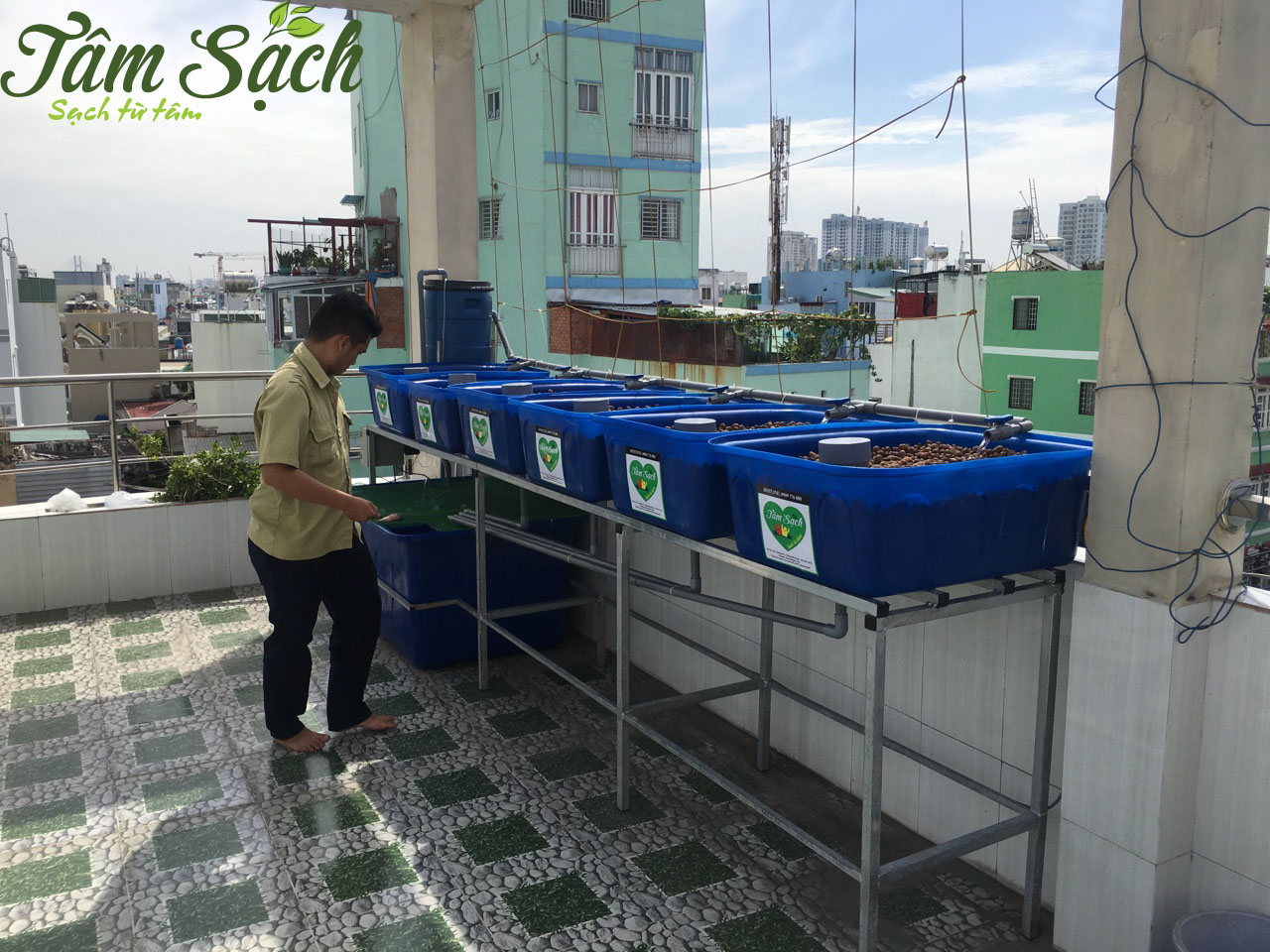 Mô hình trồng rau sân thượng
