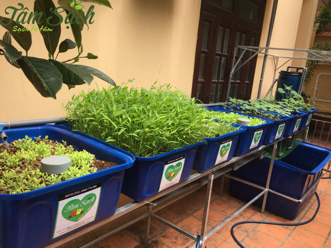 Thiết kế vườn rau trên ban công