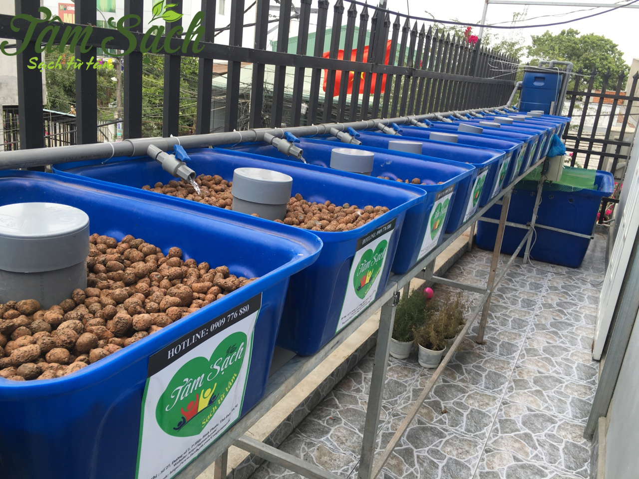 Thiết kế vườn rau trên ban công