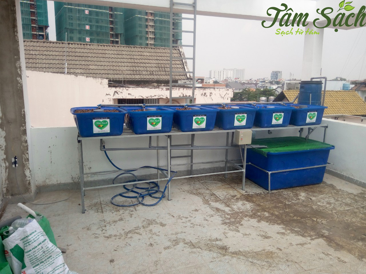 Trồng rau nuôi cá trên sân thượng