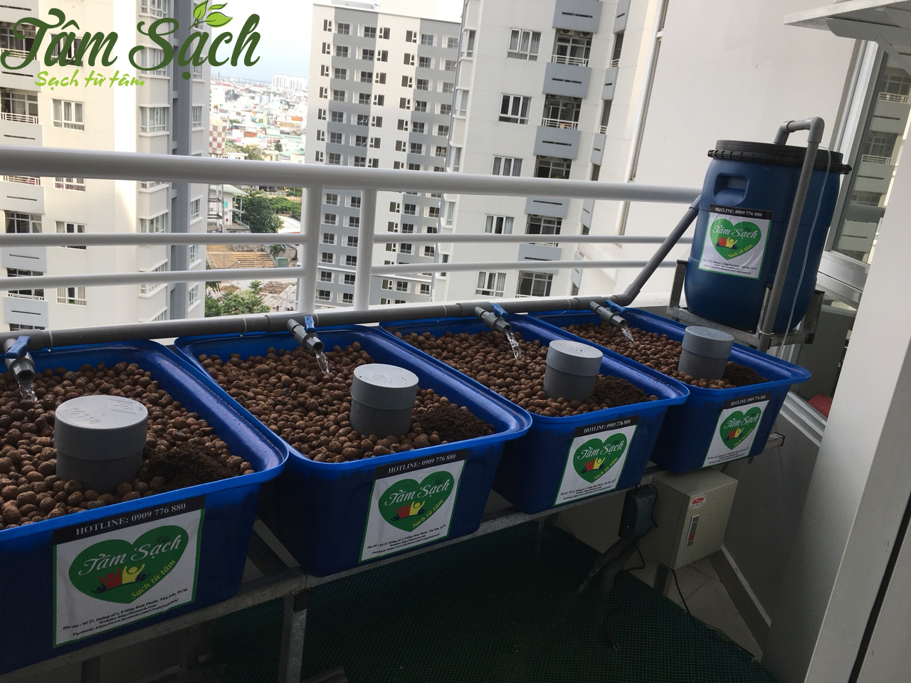Trồng rau sạch ở ban công