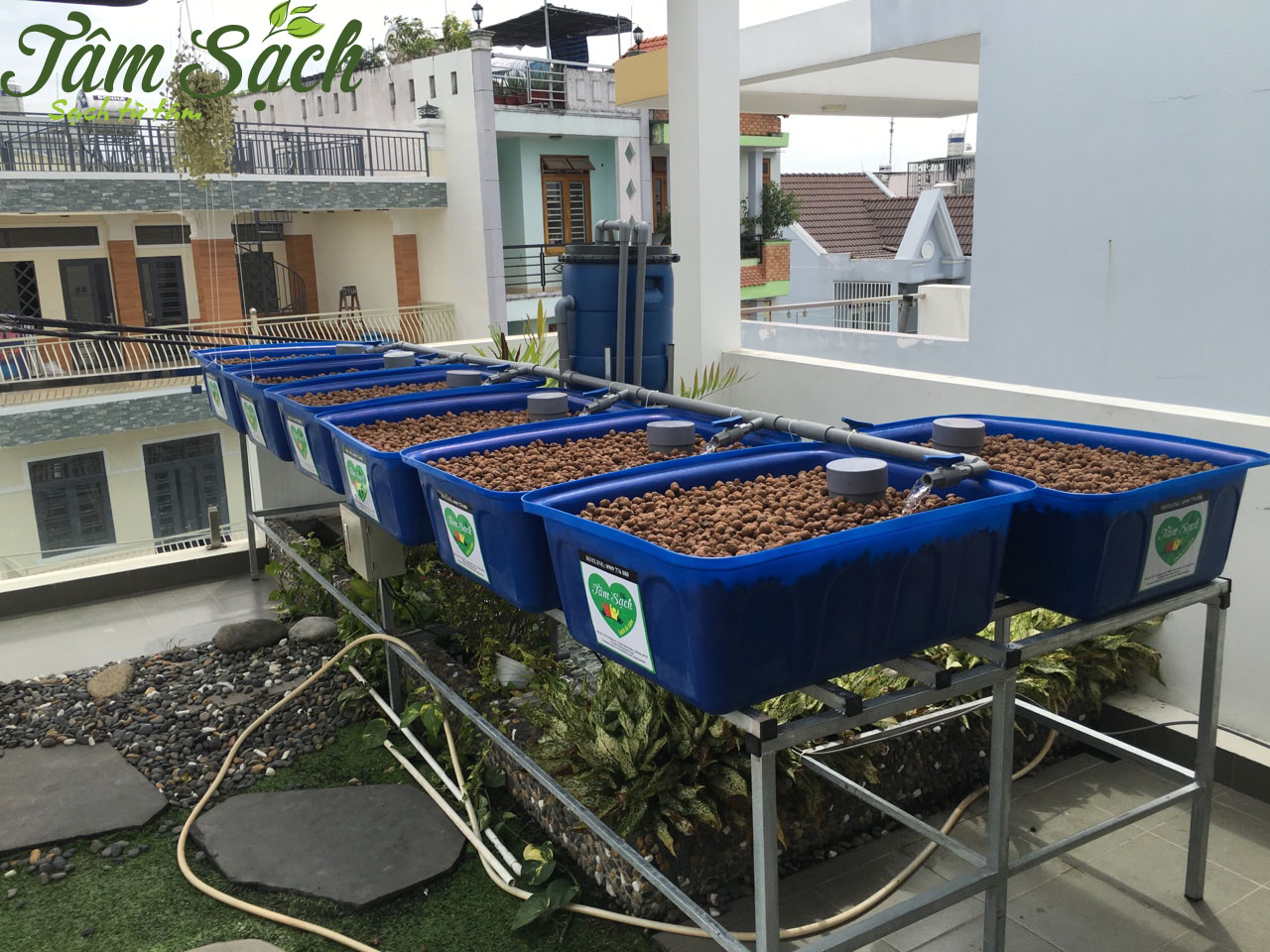 Trồng rau sạch sân thượng