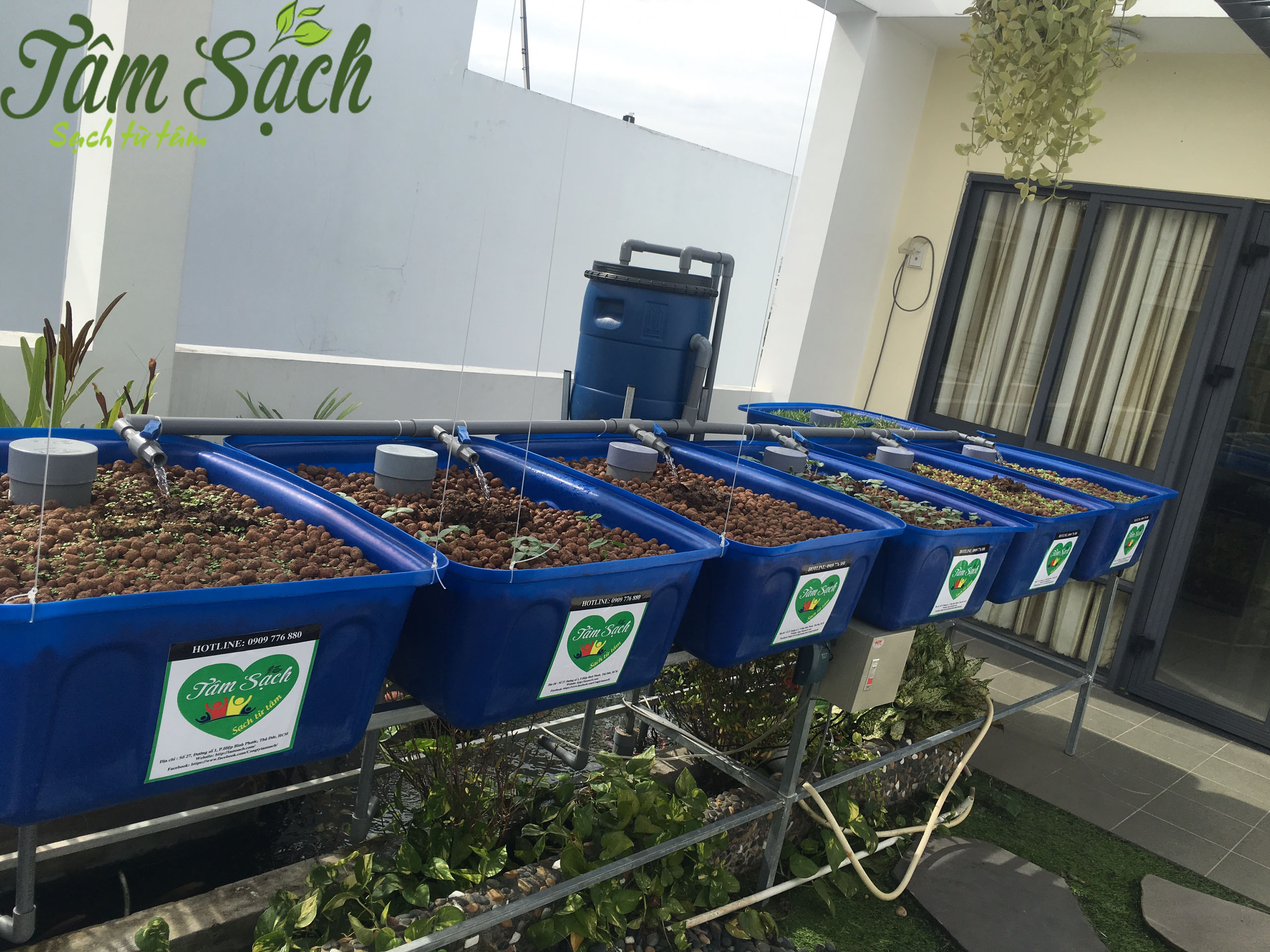Trồng rau sạch sân thượng