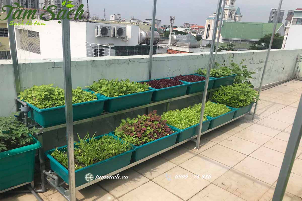 kệ trồng rau 2 tầng