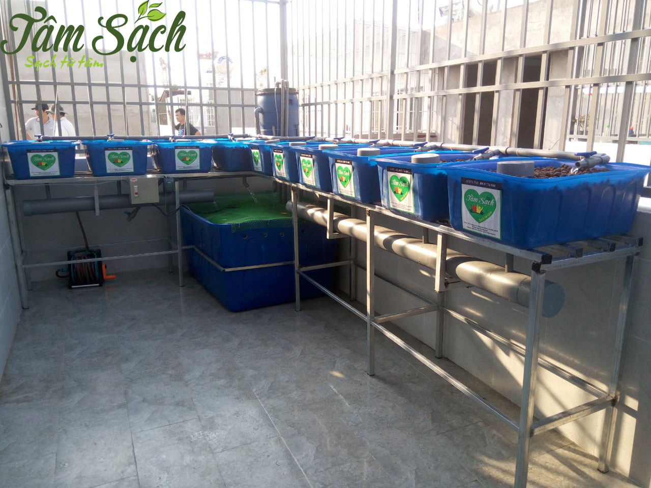 Vườn rau sạch sân thượng