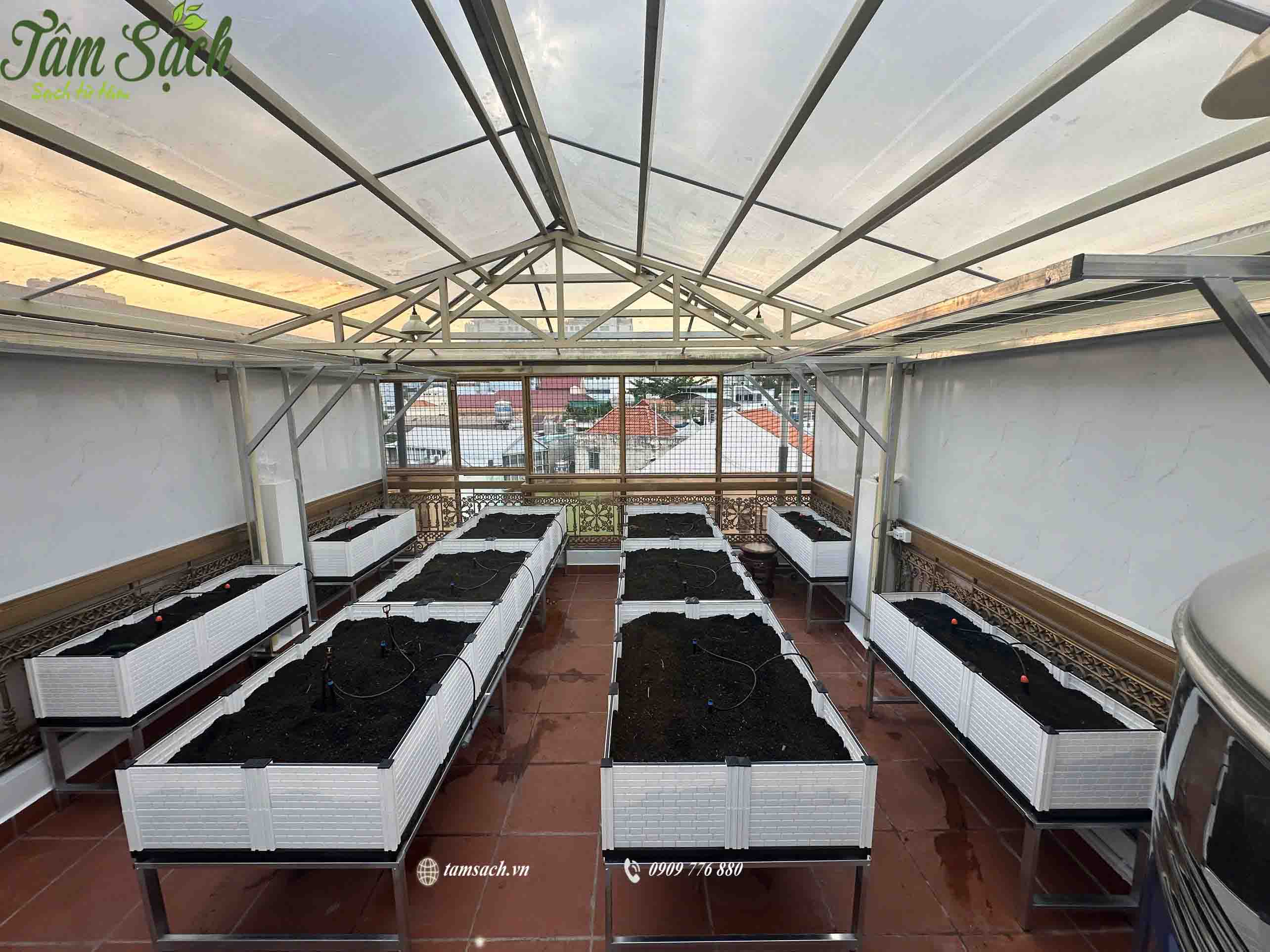 vườn rau sân thượng chậu ghép