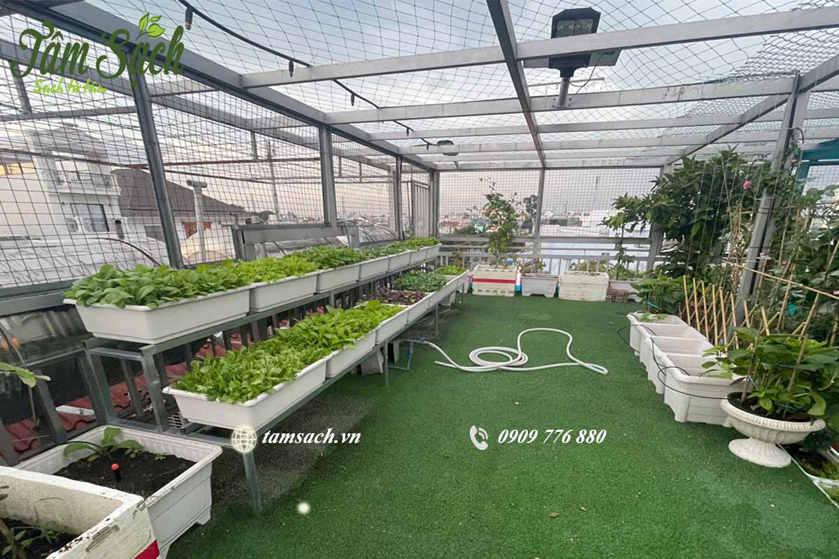 Giàn rau 2 tầng bố trí khoa học và gọn gàng