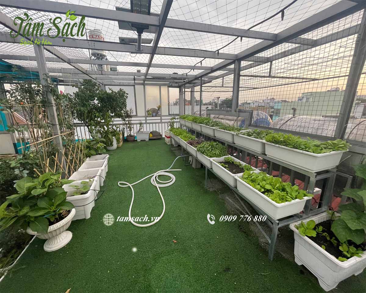 Góc nhìn tổng thể khu vườn từ phía trước