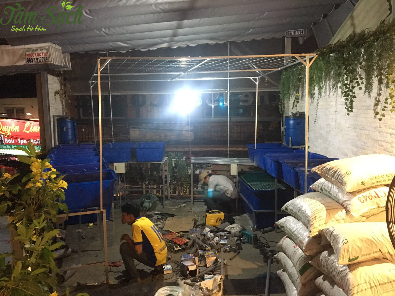Vườn rau tại nhà