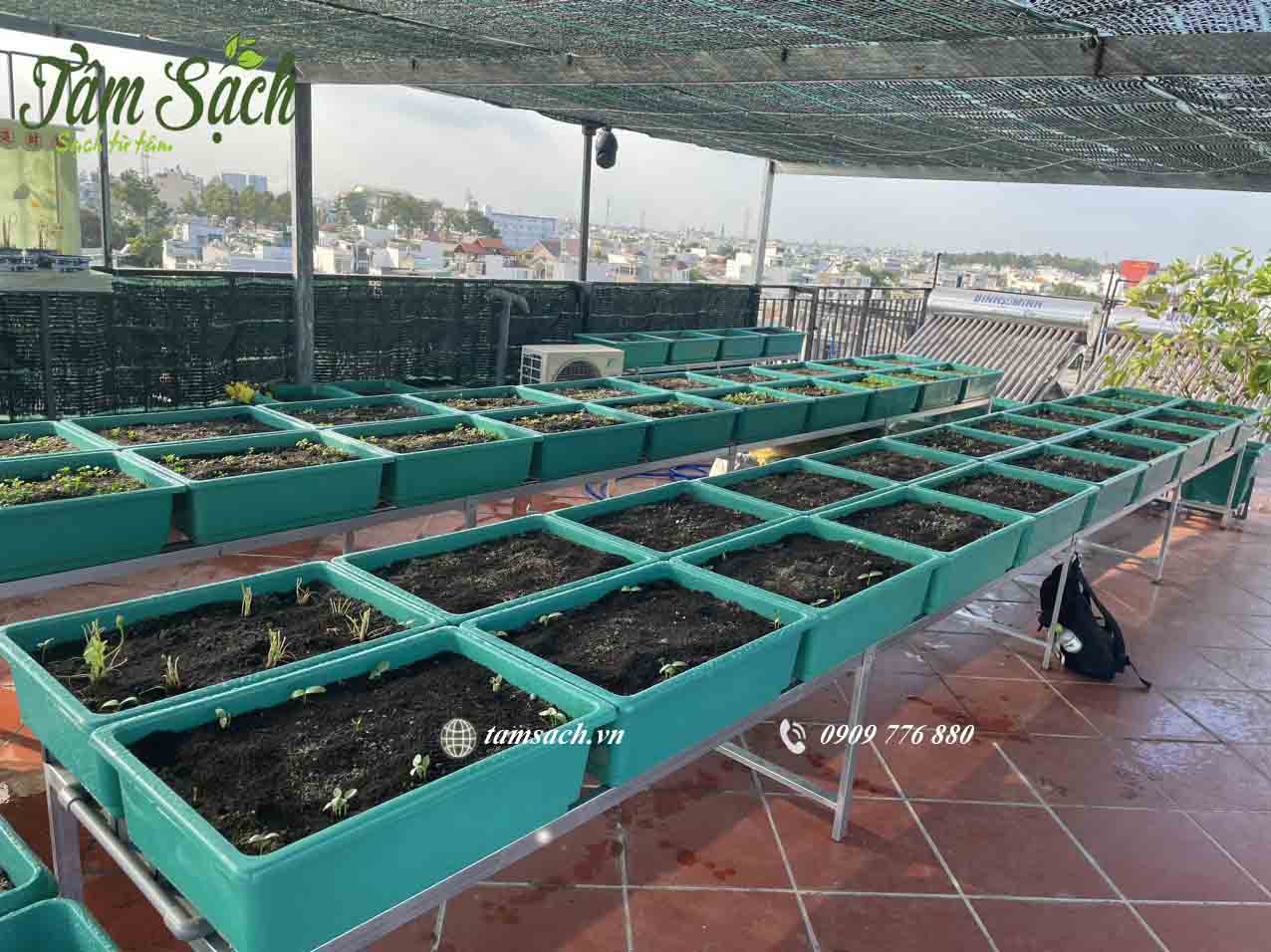 Toàn cảnh giàn rau trên sân thượng nhà anh Tuệ.