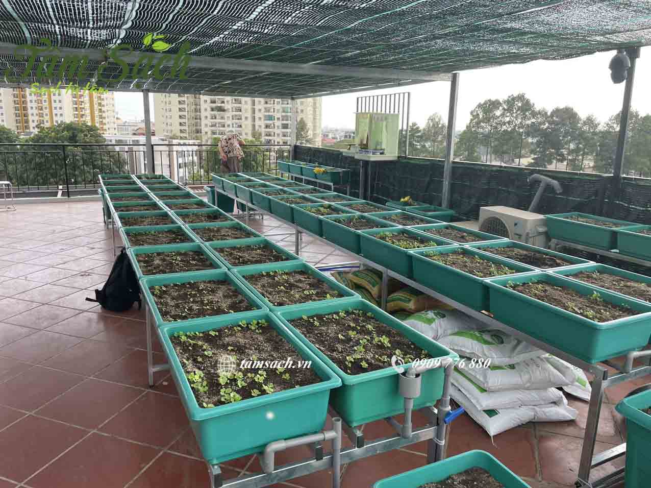 Bố trí 50 khay thổ canh tối ưu hóa diện tích sử dụng