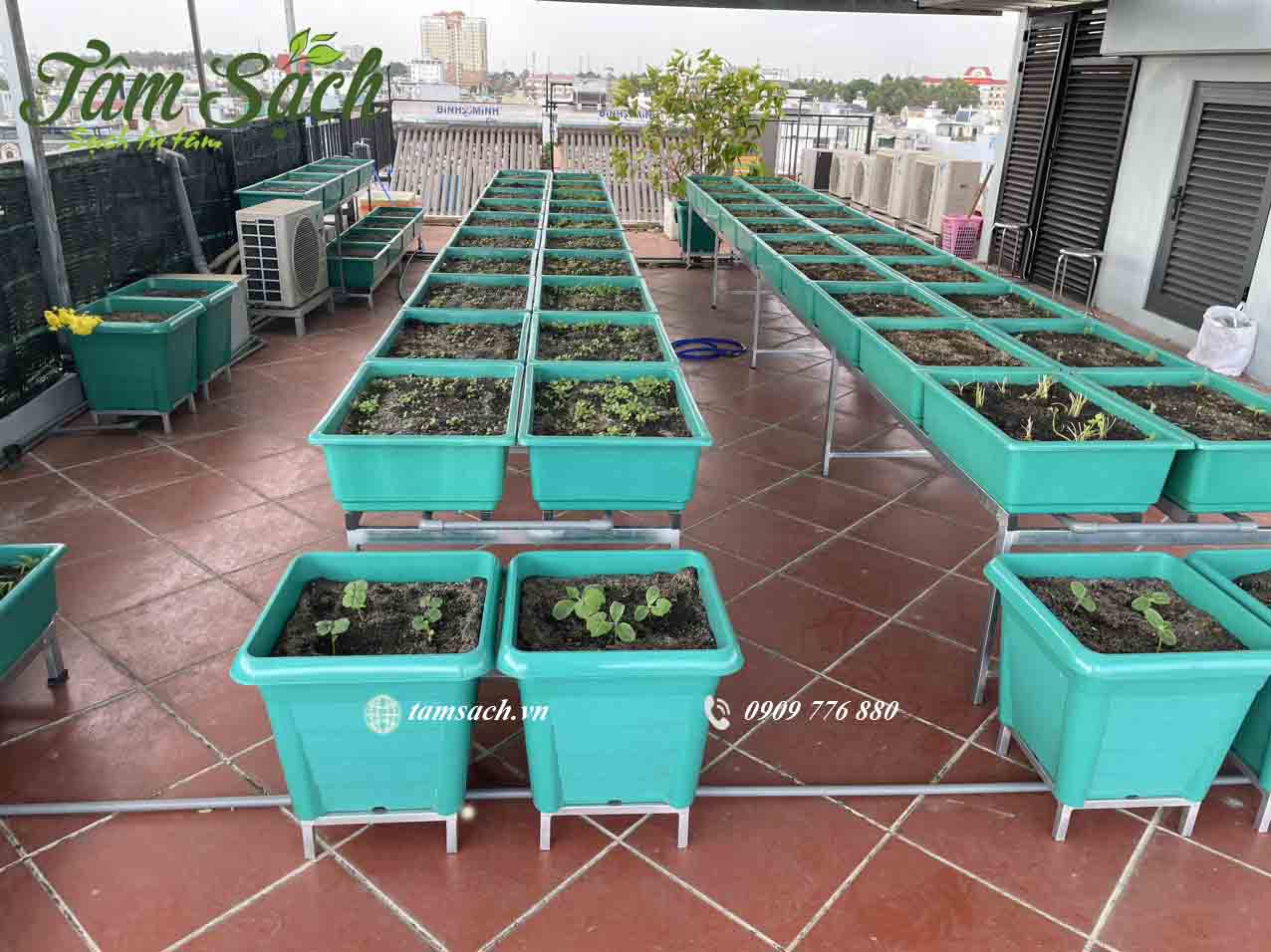 Khay rau sâu lòng, thoát nước tốt, giữ ẩm vừa đủ