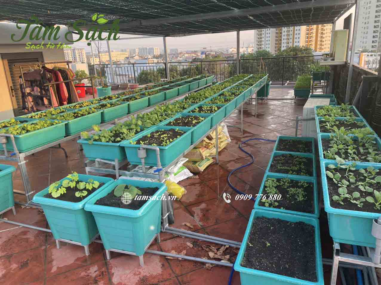 Góc chụp từ trên cao cho thấy sự gọn gàng và khoa học
