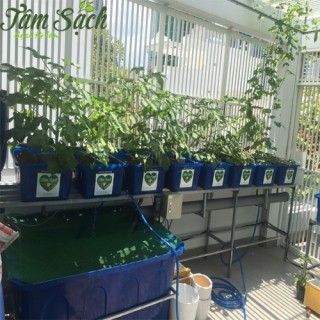 Hệ thống trồng rau nuôi cá - Aquaponics 8 khay mini